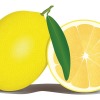 lemon-756390_1280